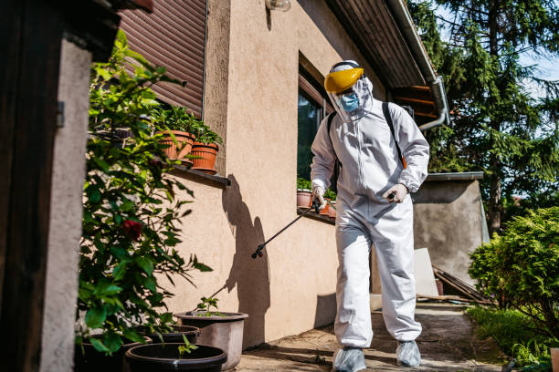 Best Best Pest Control Companies  in Pottstown, PA