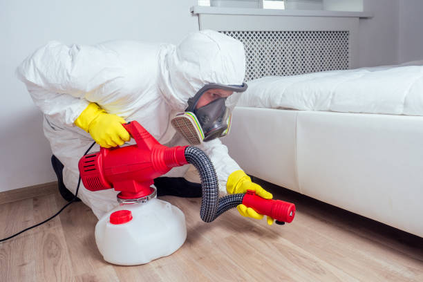 Best Flea Control Services  in Pottstown, PA