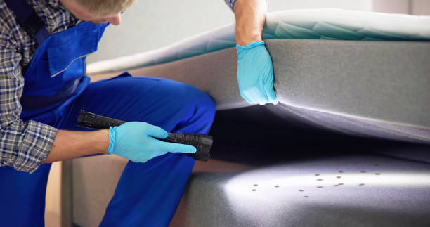 Pest Prevention Services in Pottstown, PA