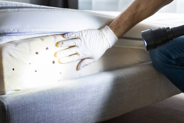Best Exterminator Services  in Pottstown, PA